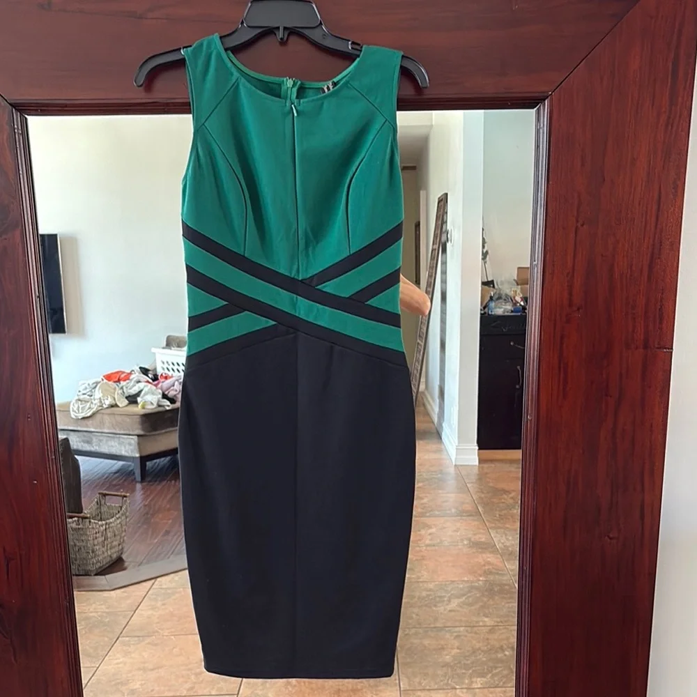 Elegant Green and Black Sleeveless Dress - Picture 1 of 4